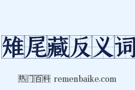 雉尾藏反义词是什么意思的图片